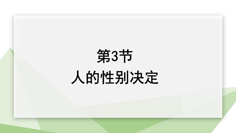 22.3 人的性别决定 课件初中生物苏教版八年级下册01