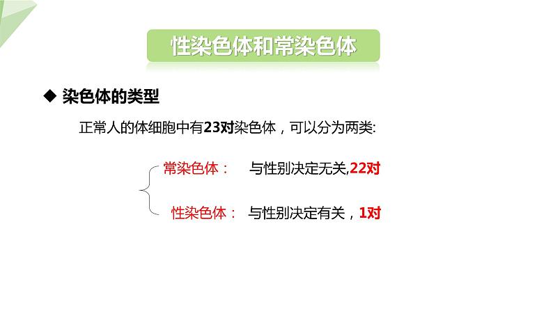 22.3 人的性别决定 课件初中生物苏教版八年级下册06