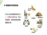 24.2 关注生物技术 课件初中生物苏教版八年级下册