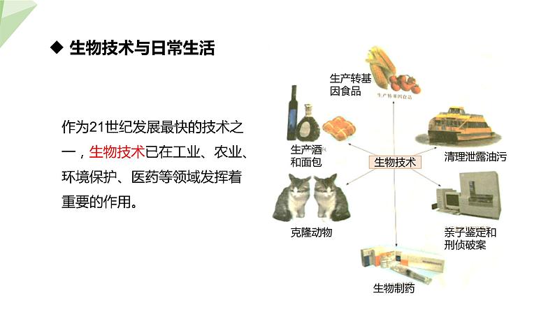 24.2 关注生物技术 课件初中生物苏教版八年级下册05