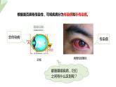 25.1 传染病 课件初中生物苏教版八年级下册