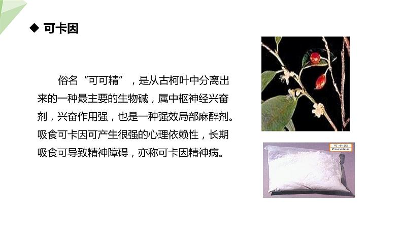 26.2 拒绝毒品 课件初中生物苏教版八年级下册第8页