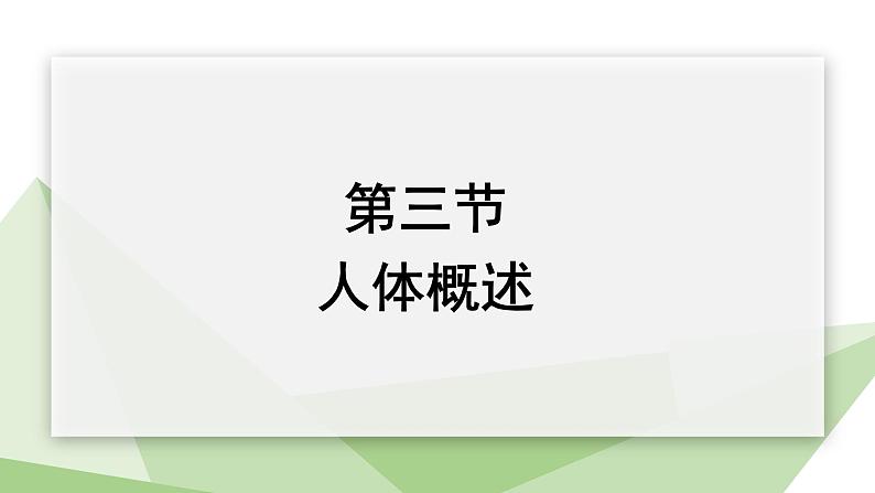 8.3 人体概述 课件 2023-2024学年初中生物苏教版七年级下册01