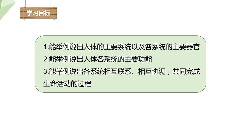 8.3 人体概述 课件 2023-2024学年初中生物苏教版七年级下册02