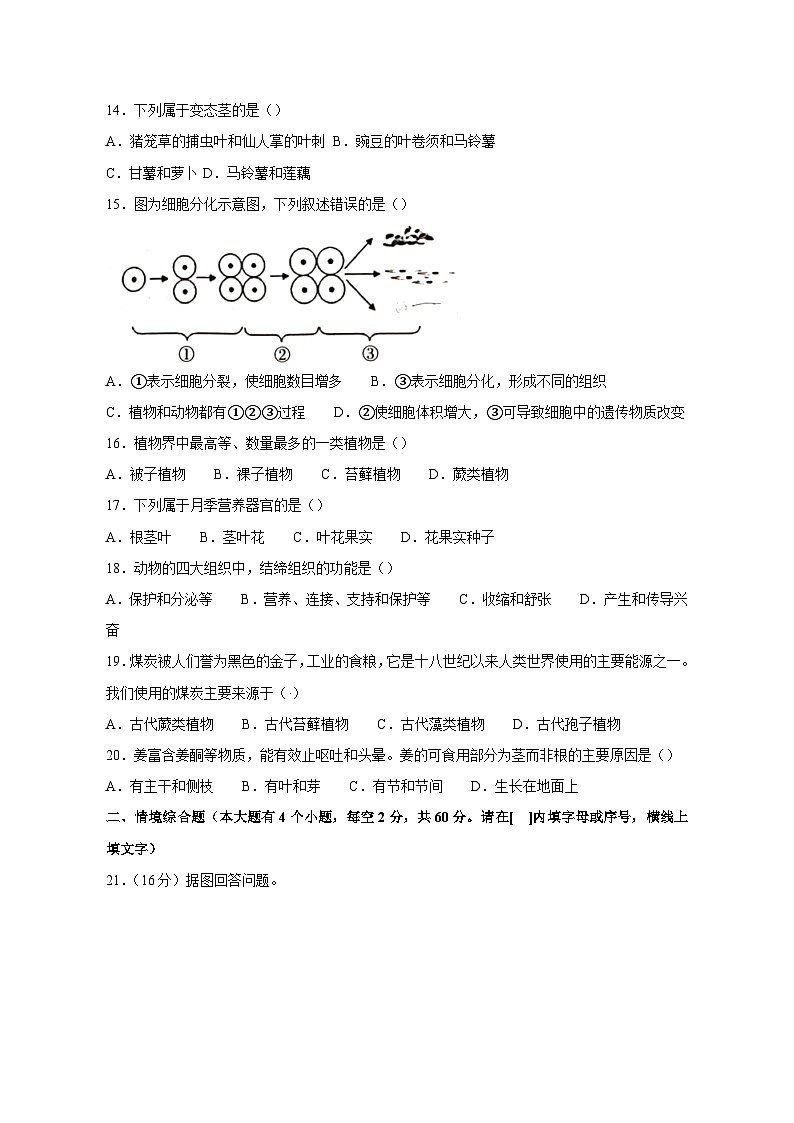 2023-2024学年河北省保定市顺平县七年级上册期中调研生物测试卷（附答案）03