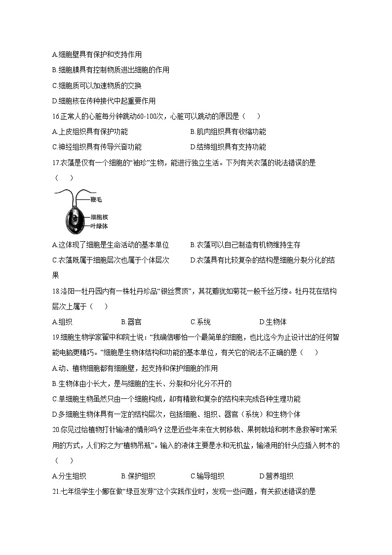 2023-2024学年河南省洛阳市涧西区七年级上册期中生物测试卷（附答案）03