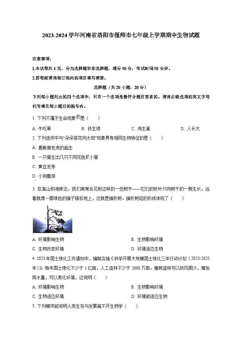 2023-2024学年河南省洛阳市偃师市七年级上册期中生物测试卷（含解析）01