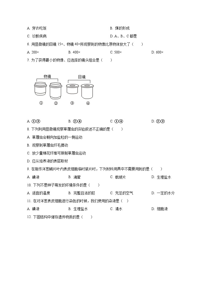 2023-2024学年河南省洛阳市偃师市七年级上册期中生物测试卷（含解析）02
