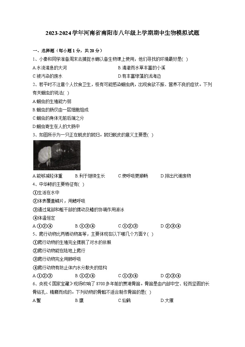 2023-2024学年河南省南阳市八年级上册期中生物测试卷（附答案）01