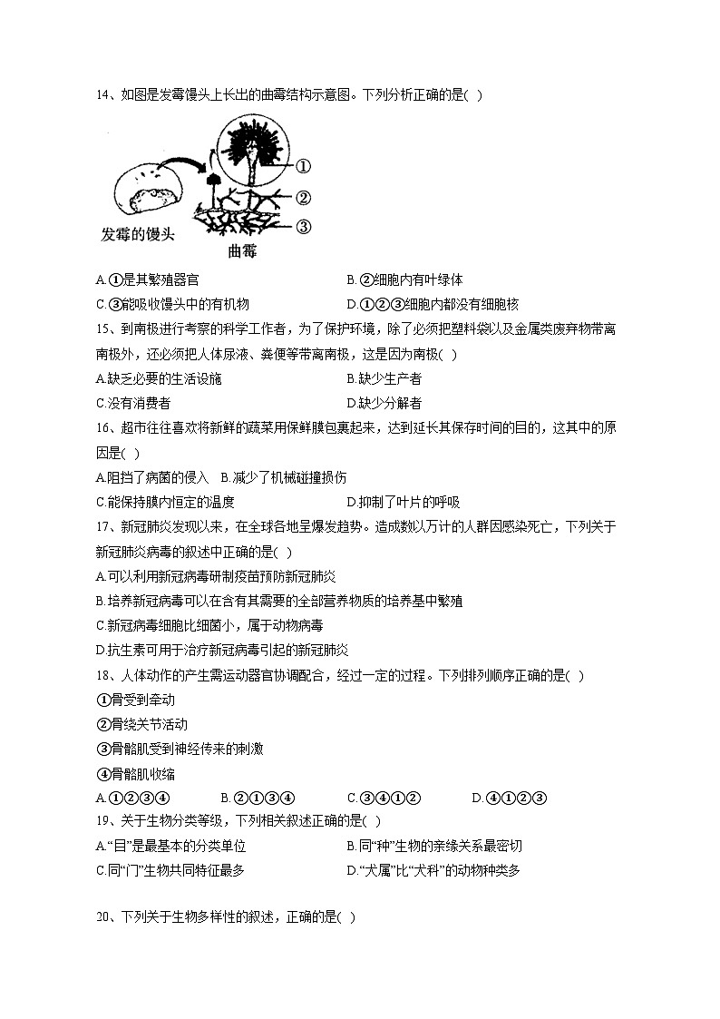 2023-2024学年河南省南阳市八年级上册期中生物测试卷（附答案）03