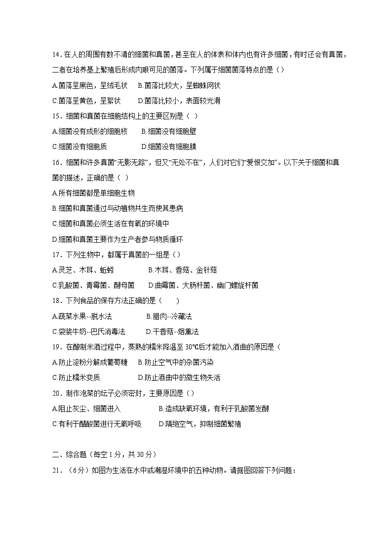 2023-2024学年河南省南阳市桐柏县八年级上册期中生物测试卷（附答案）第3页