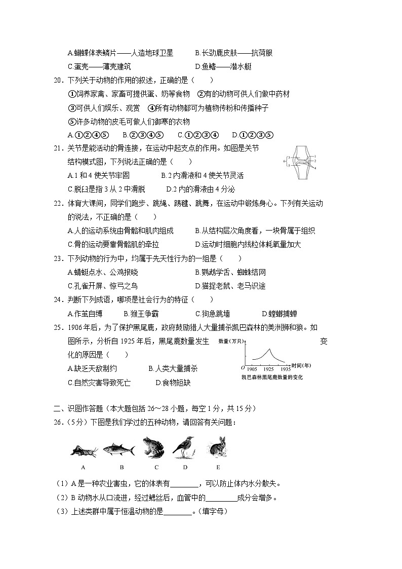 2023-2024学年湖南省邵阳市洞口县八年级上册期中考试生物测试卷（附答案）03