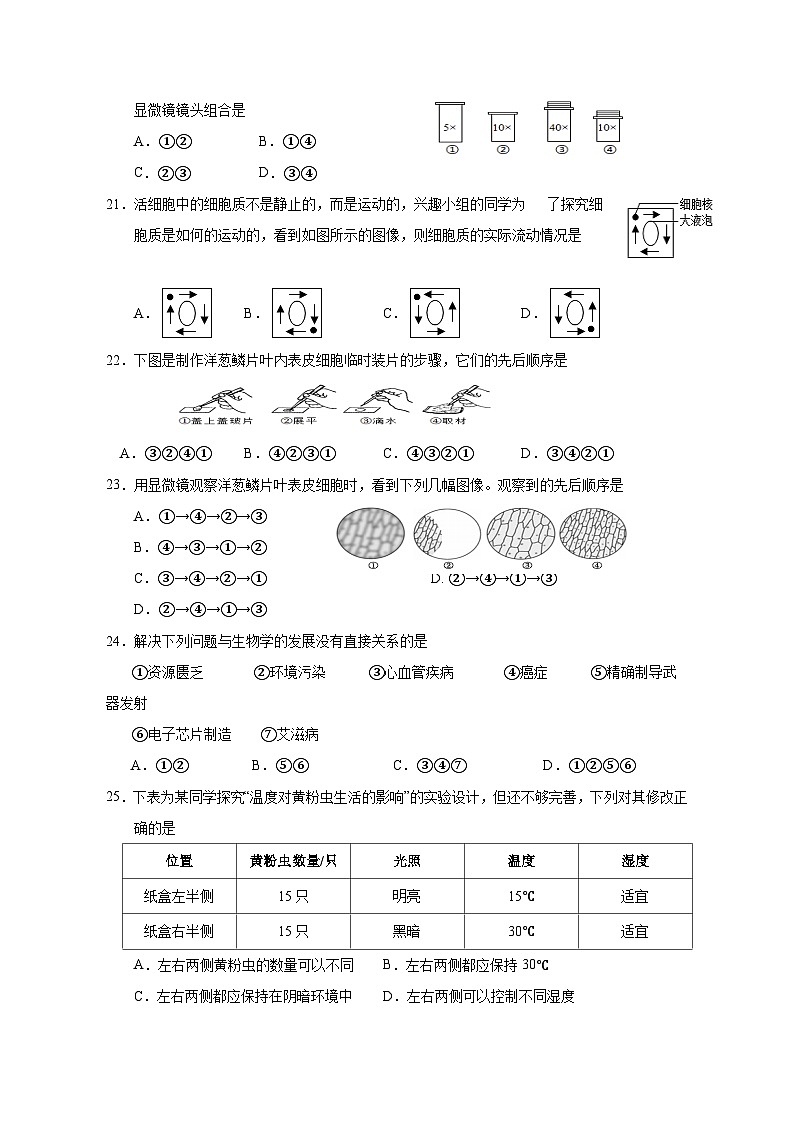 2023-2024学年湖南省永州市东安县七年级上册期中考试生物测试卷（附答案）03