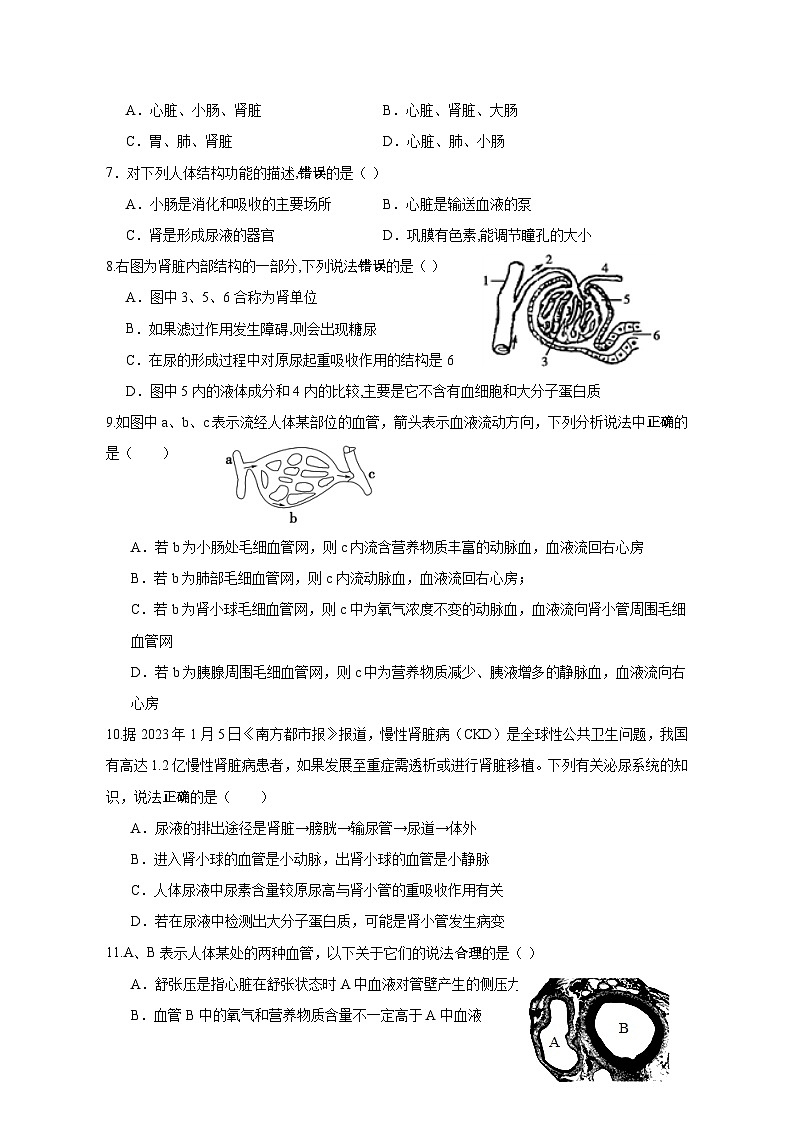 2023-2024学年江苏省泰州市靖江市八年级上册期中考试生物测试卷（附答案）02