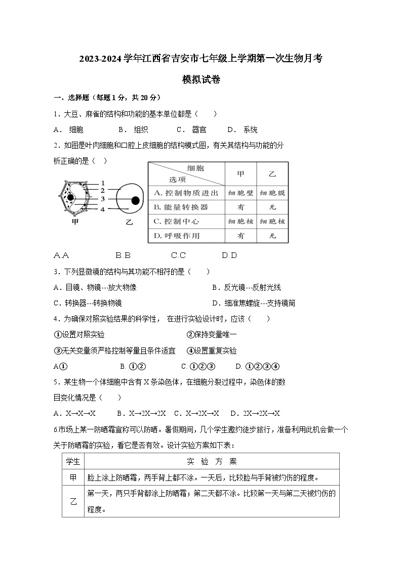 2023-2024学年江西省吉安市七年级上册第一次生物月考测试卷（附答案）01