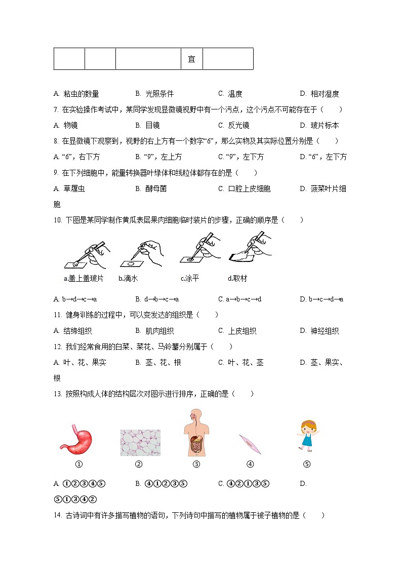 2023-2024学年山东省济宁市兖州区七年级上册期中生物测试卷（含解析）02