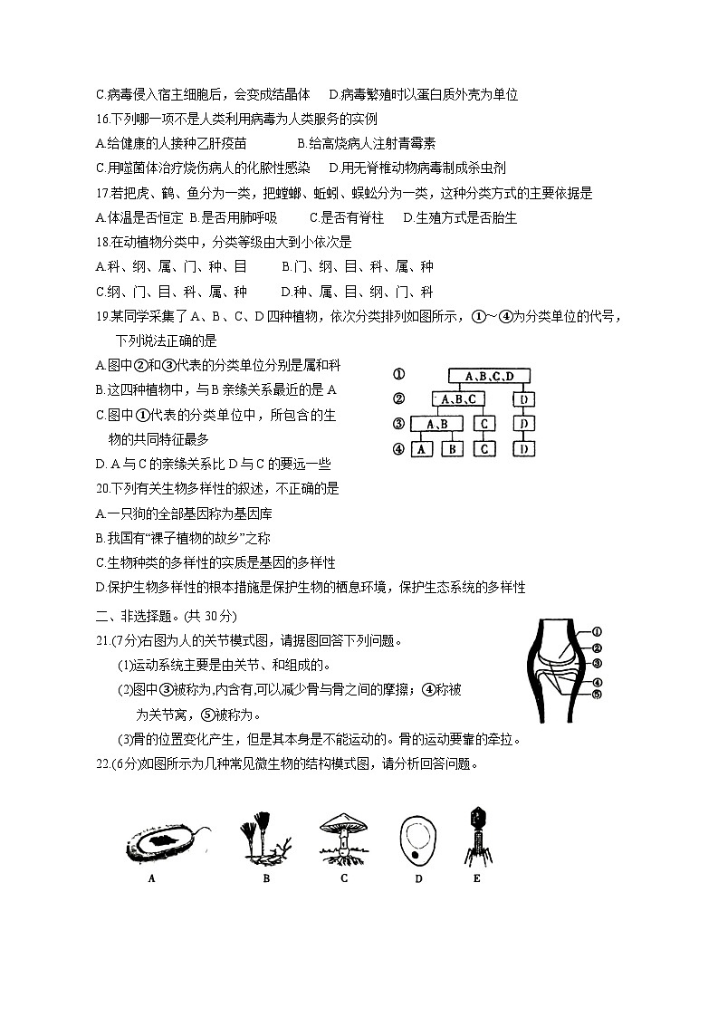 河南省周口市沈丘县2023-2024学年八年级上册期中生物测试卷（附答案）03