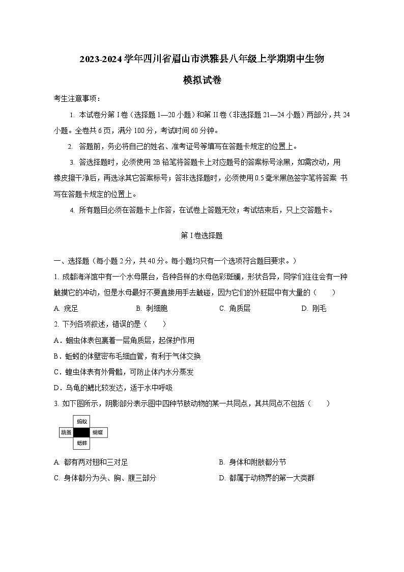 2023-2024学年四川省眉山市洪雅县八年级上册期中生物测试卷（附答案）01