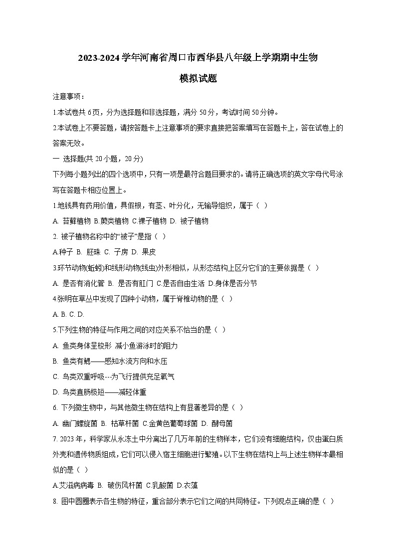2023-2024学年河南省周口市西华县八年级上册期中生物测试卷（附答案）01