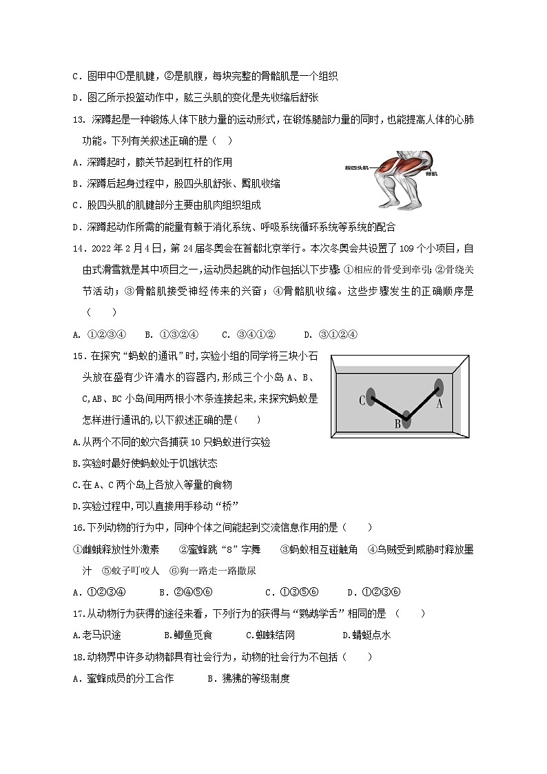 2023-2024学年湖南省株洲市八年级上册期中考试生物测试卷（附答案）03