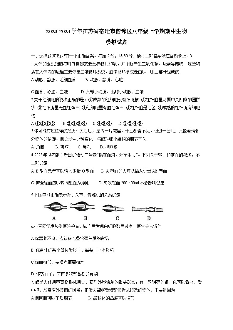 2023-2024学年江苏省宿迁市宿豫区八年级上册期中生物测试卷（附答案）01
