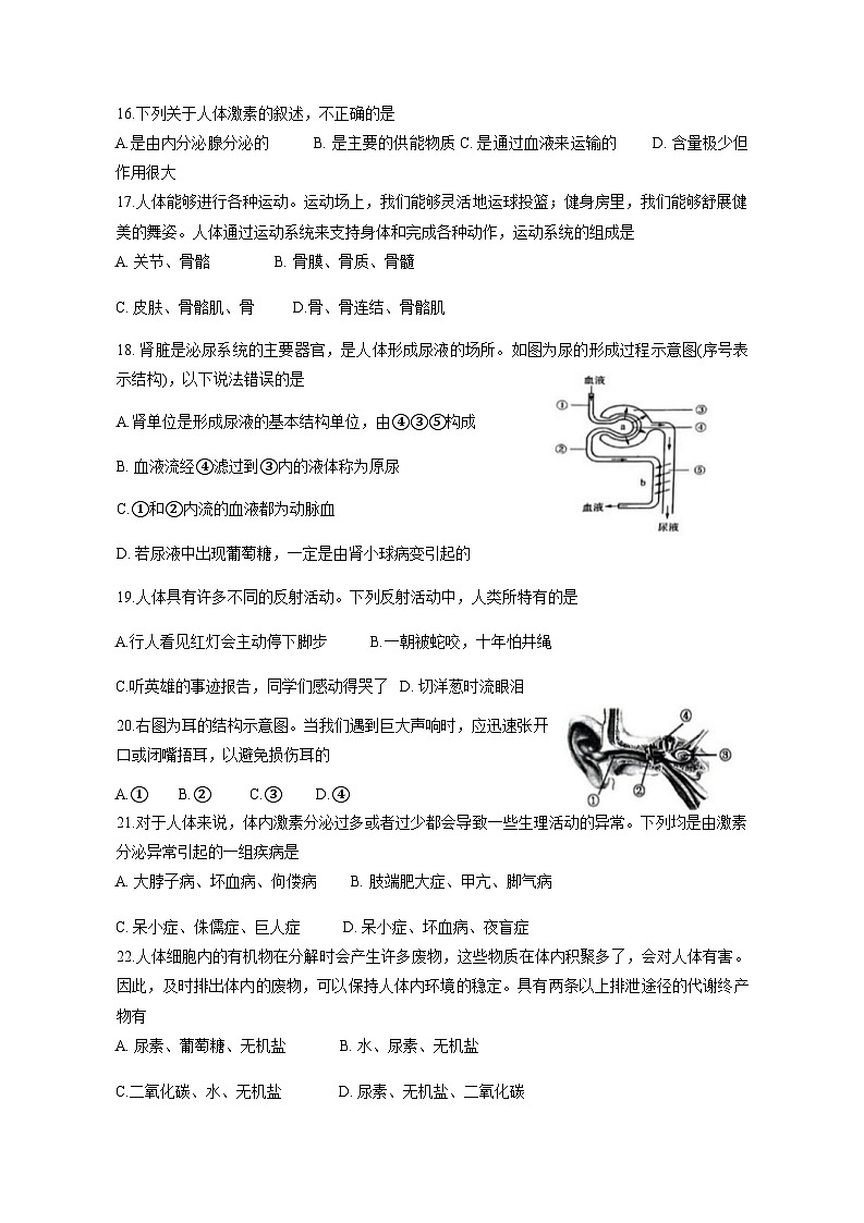 2023-2024学年江苏省宿迁市宿豫区八年级上册期中生物测试卷（附答案）03