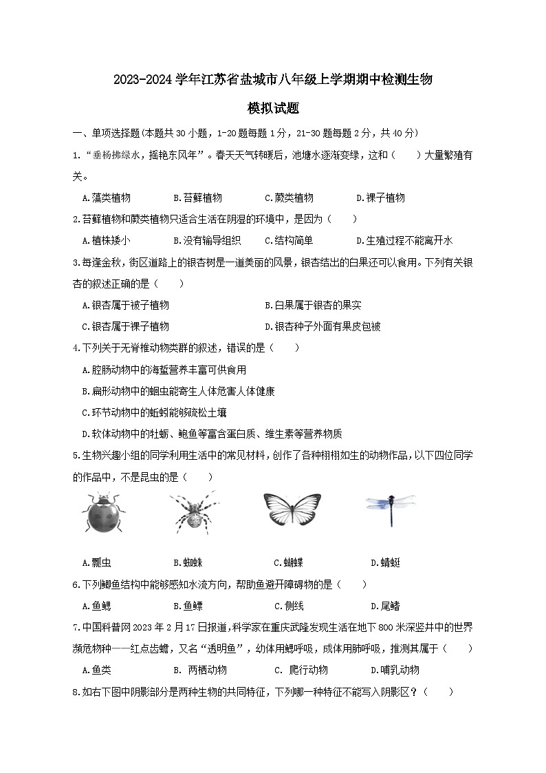 2023-2024学年江苏省盐城市八年级上册期中检测生物测试卷（附答案）01