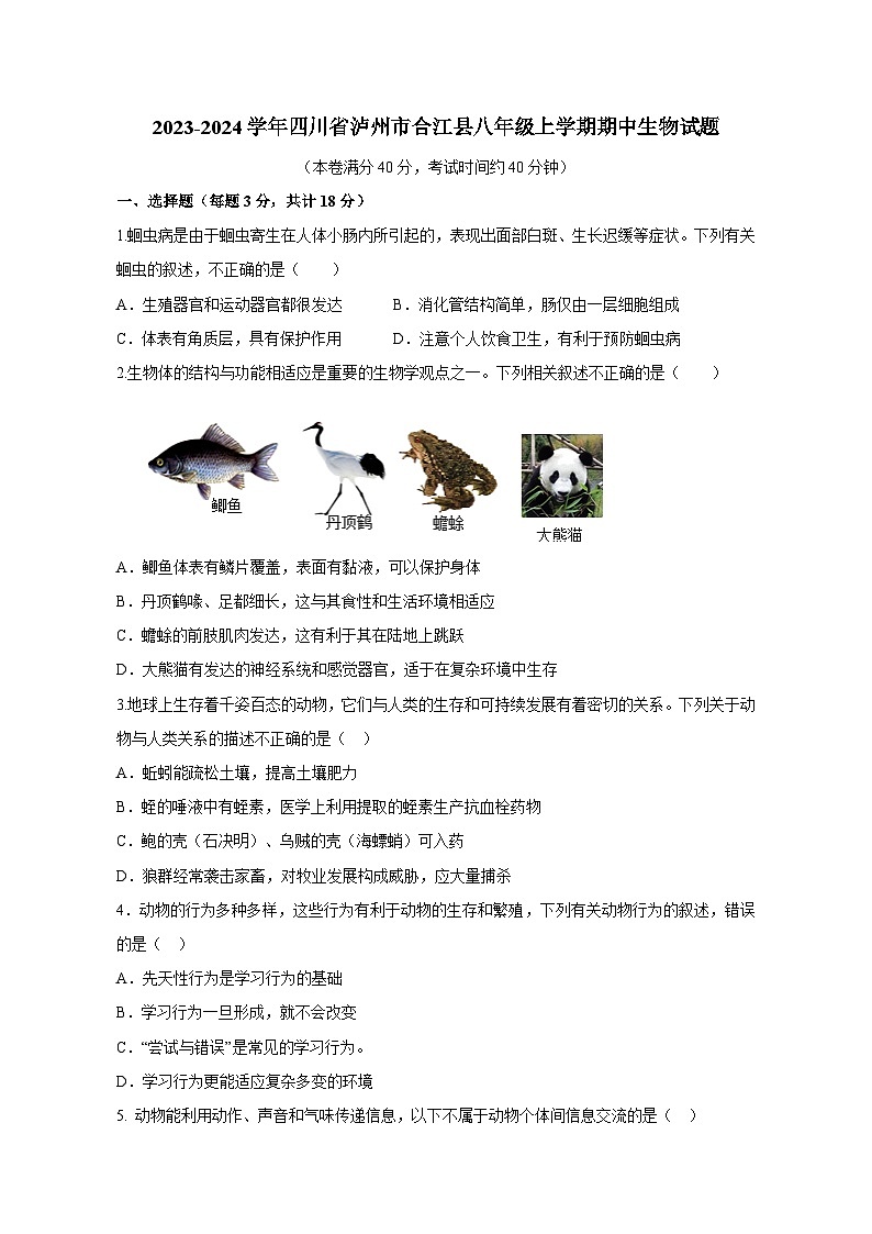 2023-2024学年四川省泸州市合江县八年级上册期中生物测试卷（附答案）01