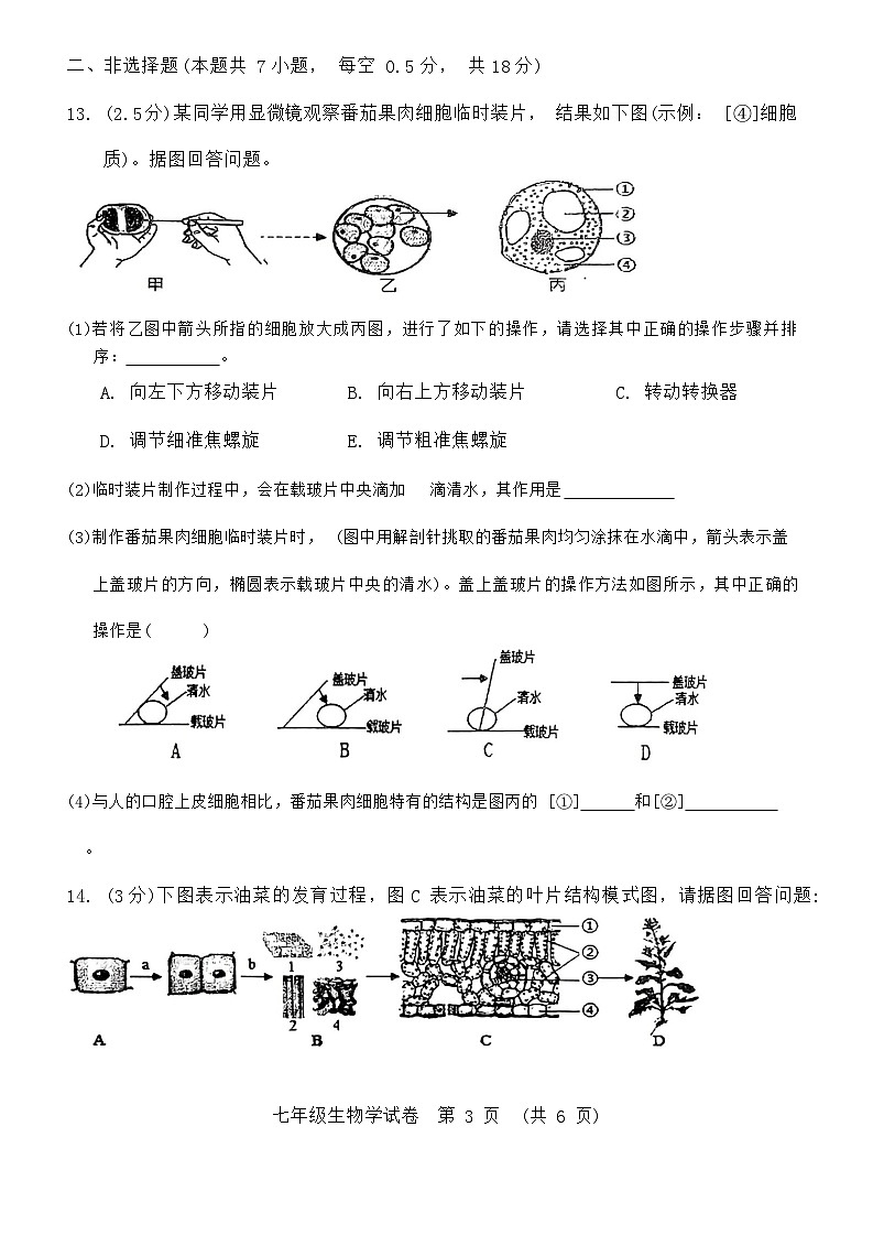 辽宁省本溪市2023-2024学年七年级上学期期末生物试题第3页