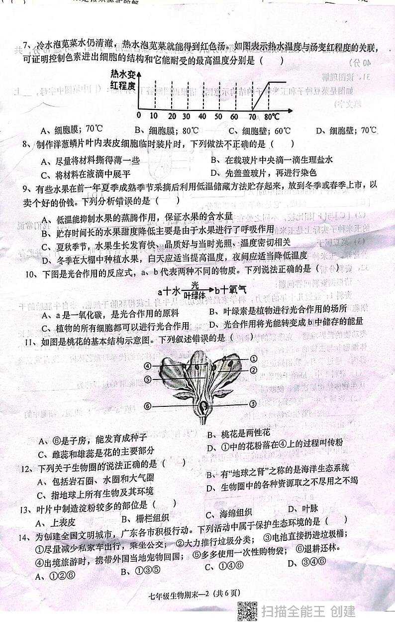 广东省揭阳市惠来县2023-2024学年七年级上学期生物期末测试卷02