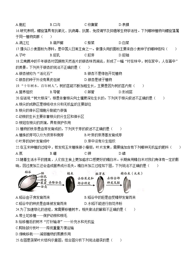 云南省曲靖市2023_2024学年七年级上学期期末考试生物试题卷第3页