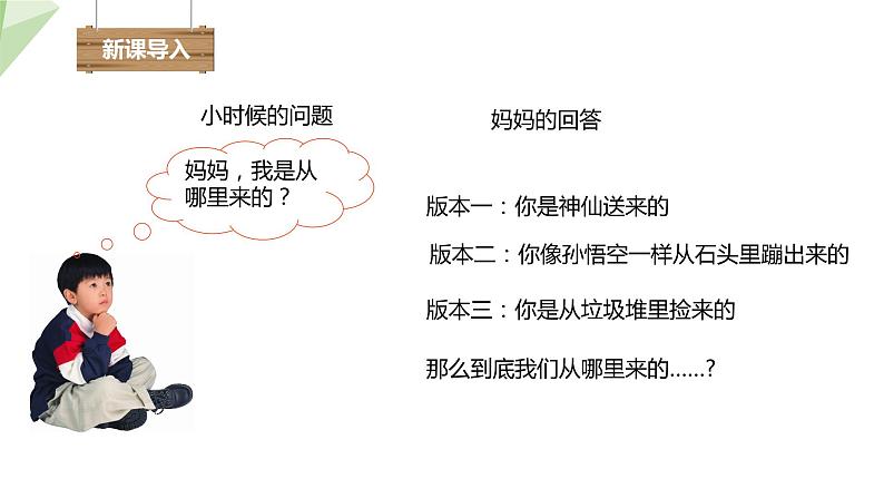 4.1.2 人的生殖 课件2023-2024学年初中生物人教版七年级下册第2页