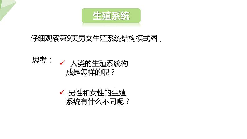 4.1.2 人的生殖 课件2023-2024学年初中生物人教版七年级下册第5页