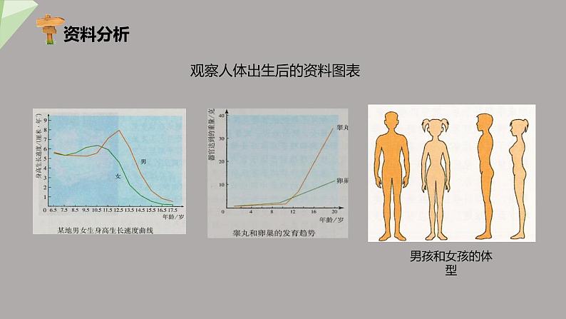 4.1.3 青春期 课件2023-2024学年初中生物人教版七年级下册06