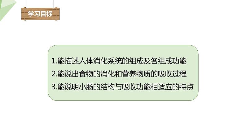 4.2.2 消化和吸收 课件2023-2024学年初中生物人教版七年级下册第3页