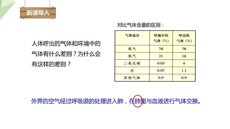 4.3.2 发生在肺内的气体交换 课件2023-2024学年初中生物人教版七年级下册第2页