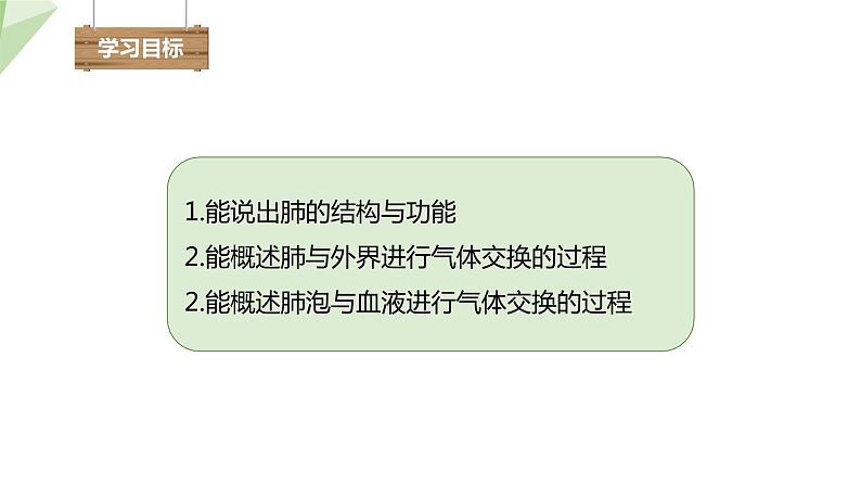 4.3.2 发生在肺内的气体交换 课件2023-2024学年初中生物人教版七年级下册第3页