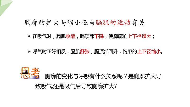 4.3.2 发生在肺内的气体交换 课件2023-2024学年初中生物人教版七年级下册第7页