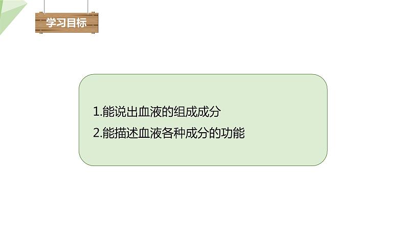 4.4.1 流动的组织——血液 课件2023-2024学年初中生物人教版七年级下册03