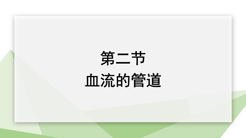 4.4.2 血流的管道——血管 课件2023-2024学年初中生物人教版七年级下册第1页