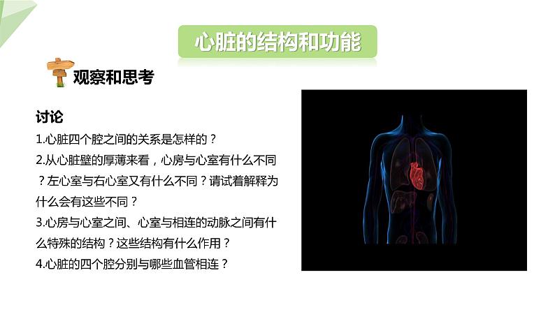 4.4.3 输送血液的泵——心脏 第1课时 课件2023-2024学年初中生物人教版七年级下册第5页