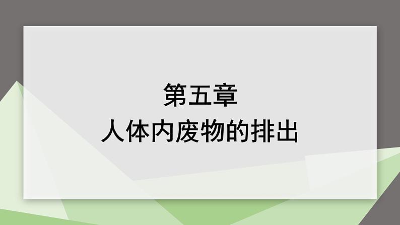 4.5 人体内废物的排出 课件2023-2024学年初中生物人教版七年级下册第1页