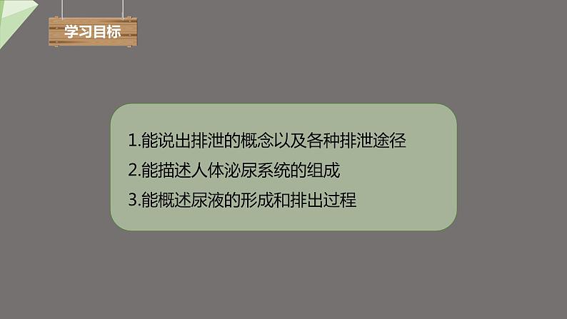 4.5 人体内废物的排出 课件2023-2024学年初中生物人教版七年级下册第3页