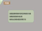 4.6.1 人体对外界环境的感知 第1课时 课件2023-2024学年初中生物人教版七年级下册
