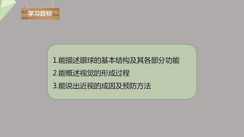 4.6.1 人体对外界环境的感知 第1课时 课件2023-2024学年初中生物人教版七年级下册第3页