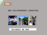 4.6.1 人体对外界环境的感知 第1课时 课件2023-2024学年初中生物人教版七年级下册