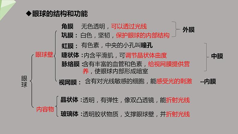 4.6.1 人体对外界环境的感知 第1课时 课件2023-2024学年初中生物人教版七年级下册第7页