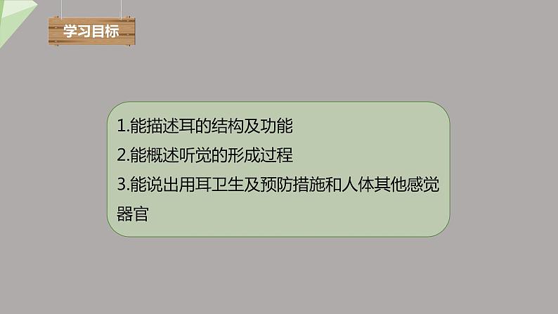 4.6.1 人体对外界环境的感知 第2课时 课件2023-2024学年初中生物人教版七年级下册03