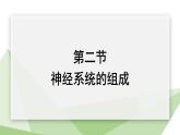 4.6.2 神经系统的组成 课件2023-2024学年初中生物人教版七年级下册