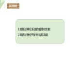 4.6.2 神经系统的组成 课件2023-2024学年初中生物人教版七年级下册